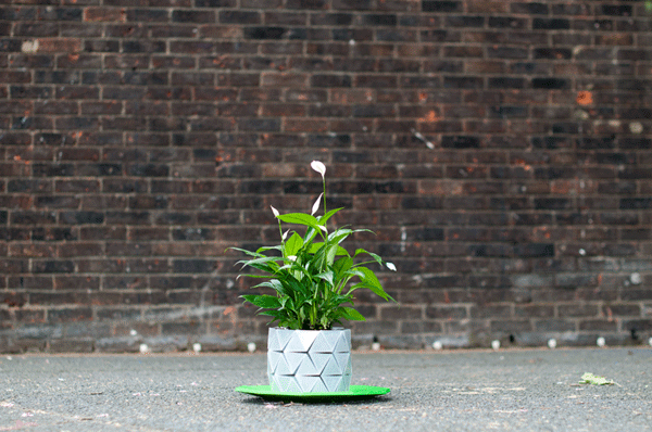 origami-pot-plant-grows-studio-ayaskan-6