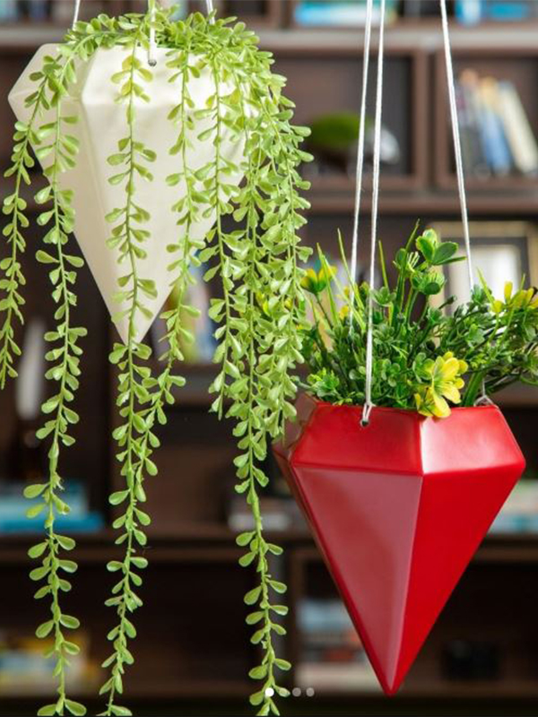 10-Things-You-Need-To-Know-Plant-Parent-Design-Pataki