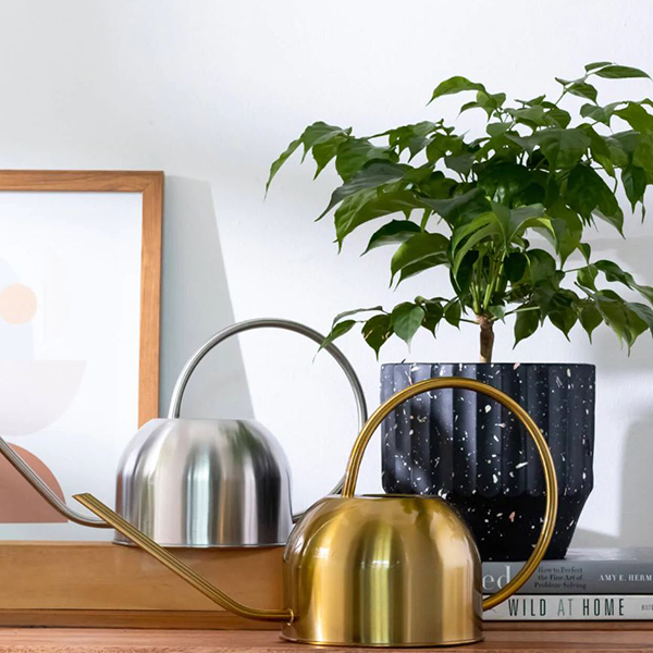 10-Things-You-Need-To-Know-Plant-Parent-Design-Pataki