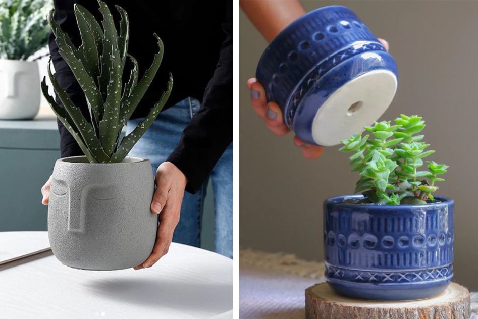 10-Things-You-Need-To-Know-Plant-Parent-Design-Pataki