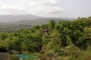 The Postcard Hideaway Celebrates The Goan Holiday Less Taken – DP Reviews