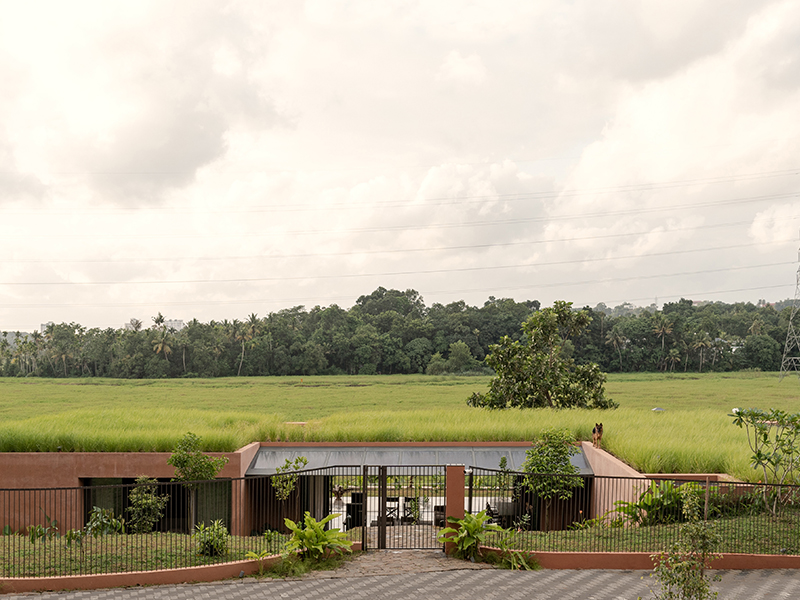 Alarine-Earth-Home-Unique-Biophilic-Outskirts-Of-Kochi-Design-Pataki