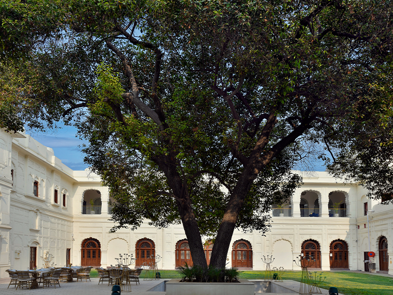 Alfresco seating invites guests to dine beneath the canopy of a majestic 200-year-old Moulsari tree. (Image Credit: Ran Baas - The Palace)
