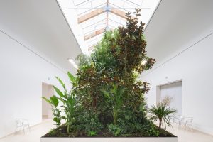 Belgian Pavilion At Venice Architecture Biennale – In Conversation With Bas Smets