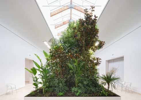 Belgian Pavilion at Venice Architecture Biennale - In Conversation with Bas Smets