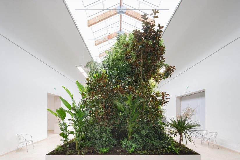 Belgian Pavilion at Venice Architecture Biennale - In Conversation with Bas Smets