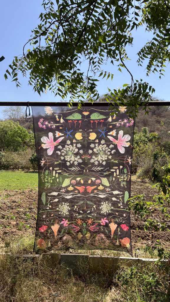 ‘Abundance’ - a 6 ft x 4 ft composition featuring 40 botanical species — including 23 native Aravalli flowers — foraged and preserved in Udaipur. (Image Courtesy: Kaanchi Chopra)