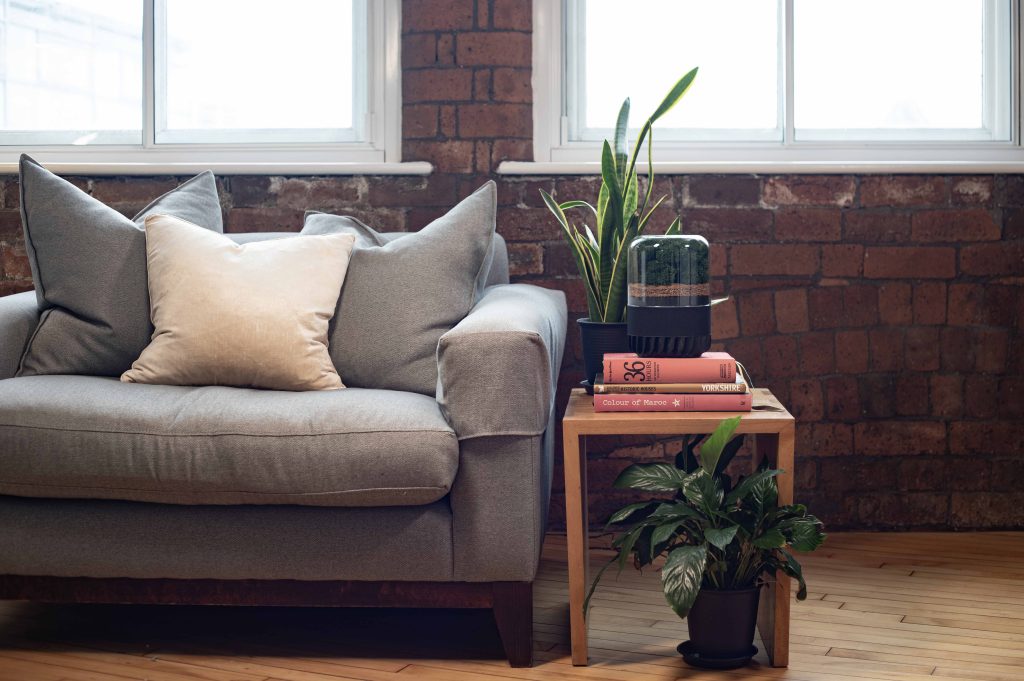 Masquerading as a plant, this sculptural purifier blends into the surroundings, adding a dash of biophilia. (Image credit: Courtesy of Briiv)
