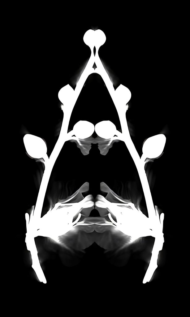 Radiological X-ray of Hollyhock showing soft, smoky inner folds. (Image Courtesy: Kaanchi Chopra)