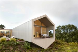 Is Suchi Reddy Rewiring Architecture Through Neuroaesthetics?