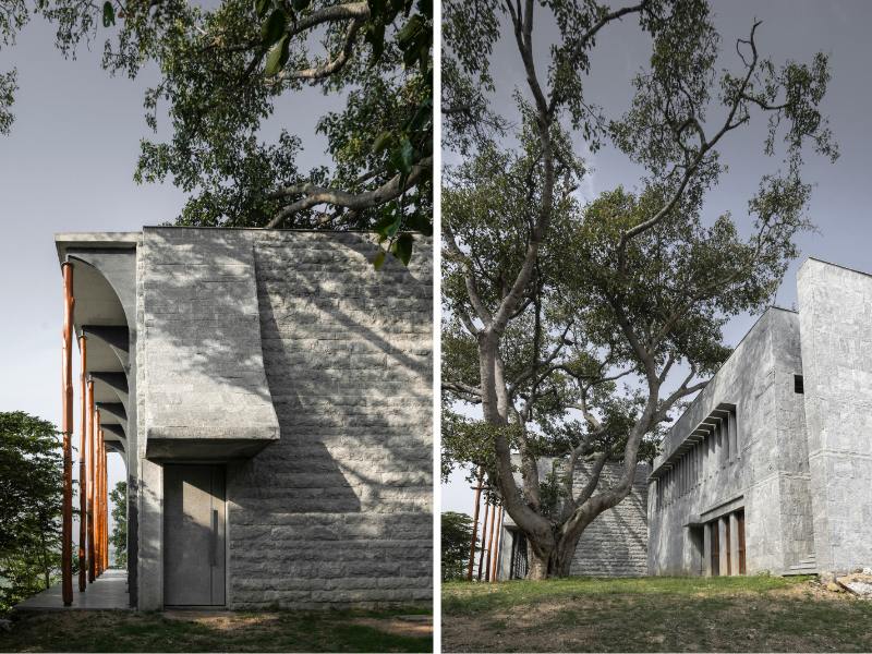 Left: Reclaimed eucalyptus logs paired with a natural arch made from drooping Banyan branches support the roof of the community hall. Right: The structure curves gently to accommodate a staircase that leads to the terrace. (Image Credits: Niveditaa Gupta)