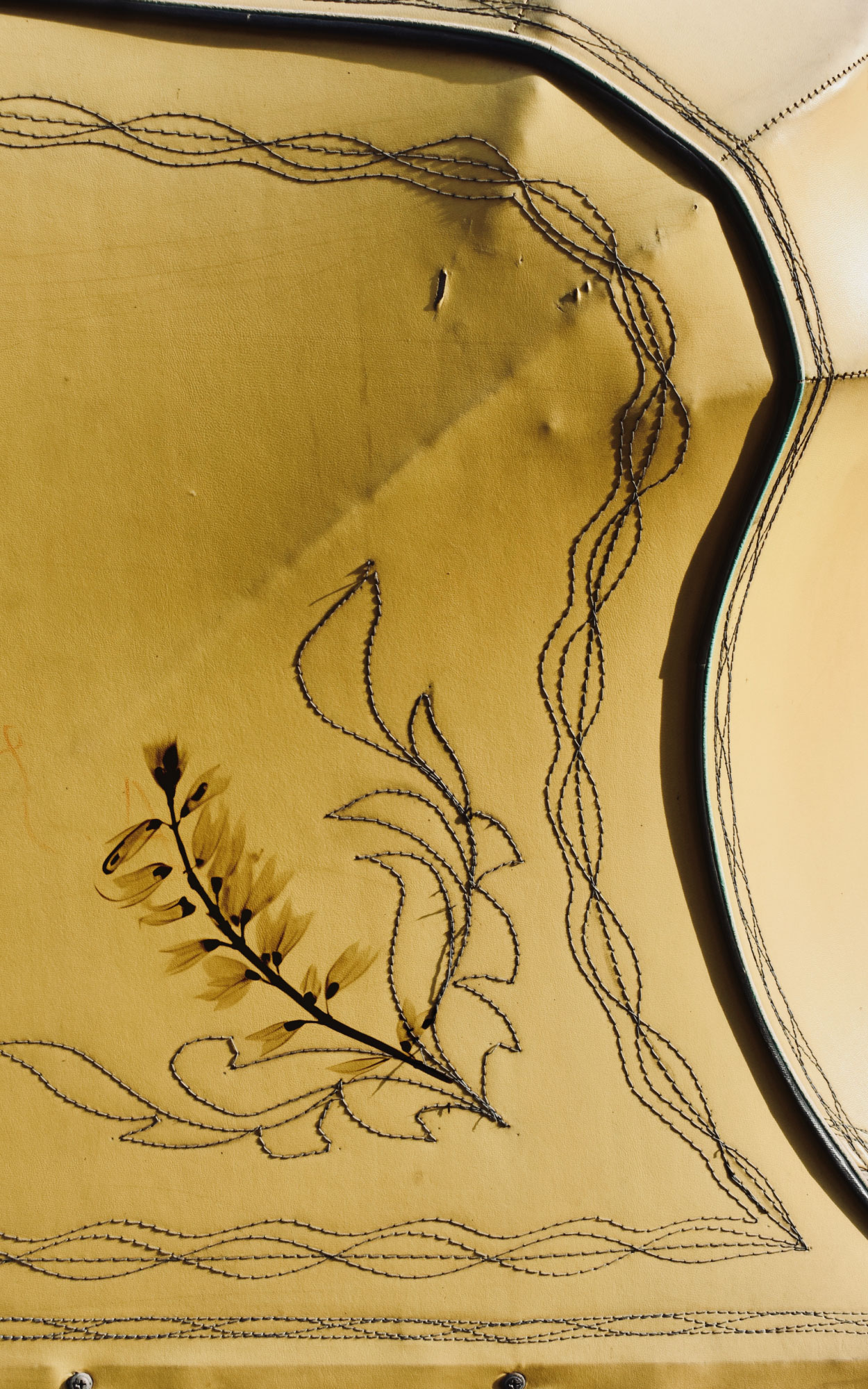 ‘At a Floral Pace’ is an ongoing public art series confronting urban forest inequity through botanical installations and interventions. (Image Courtesy: Kaanchi Chopra)