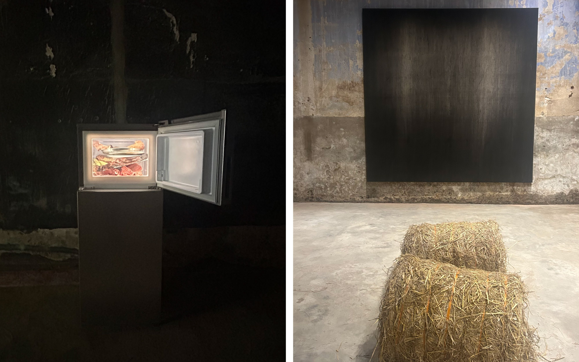 Left: Adrián Villar Rojas at Aspinwall. Right: Kulpreet Singh at Anand Warehouse. (Image Credits: Manisha AR)