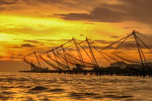 Eat, Stay, Explore: Art, Culture, And Coastal Charm In Kochi