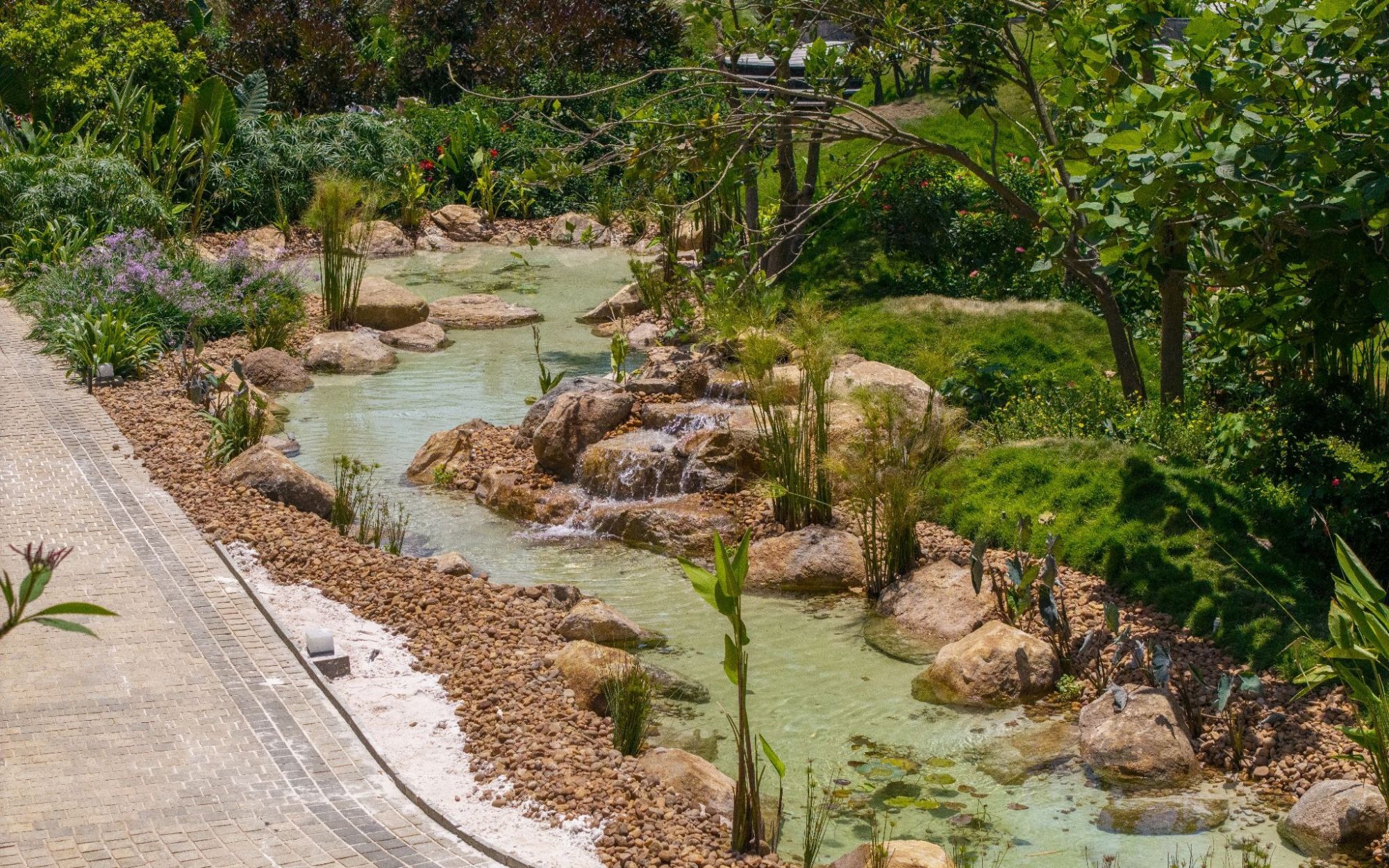 pond landscape
