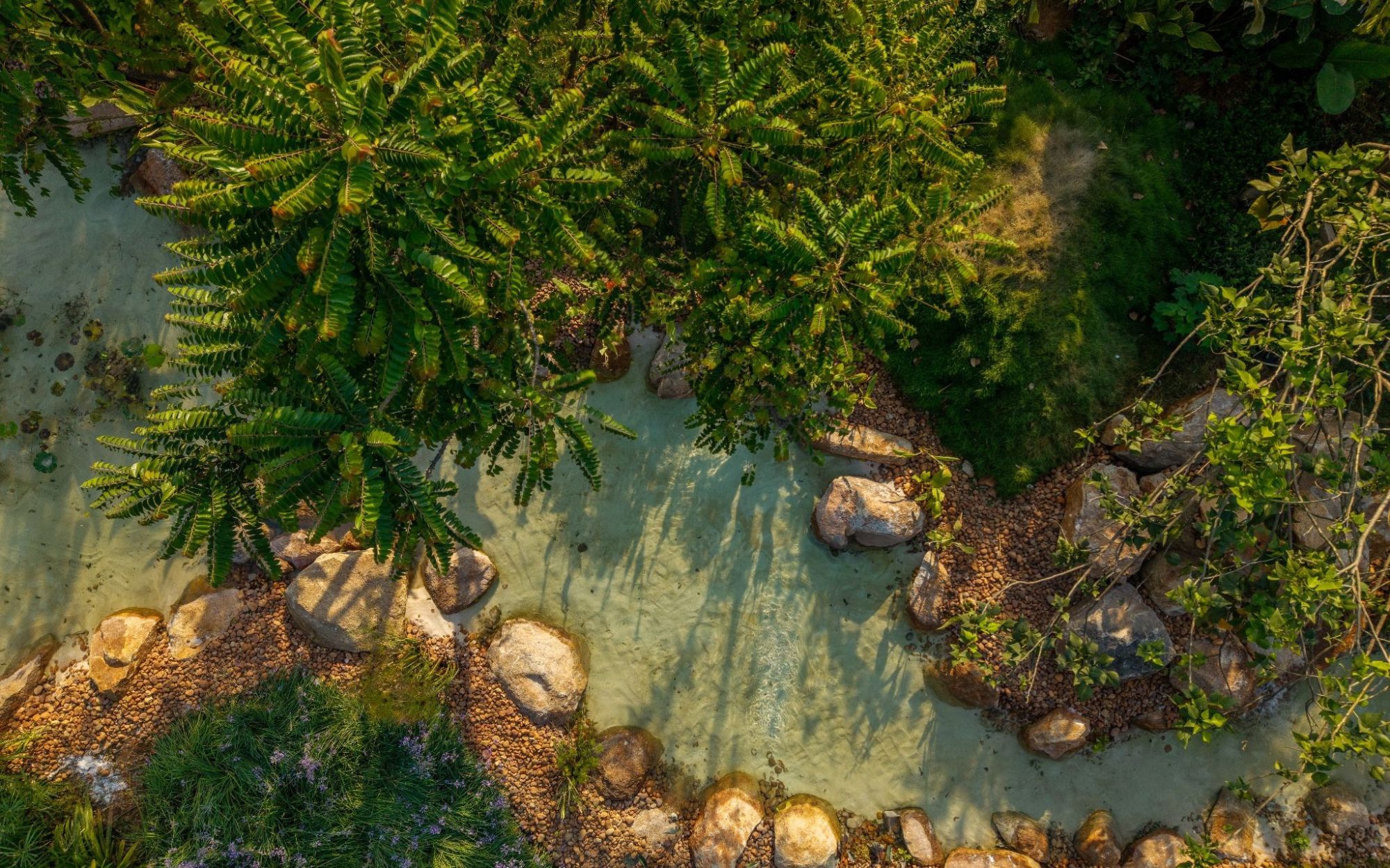 Pond Design
