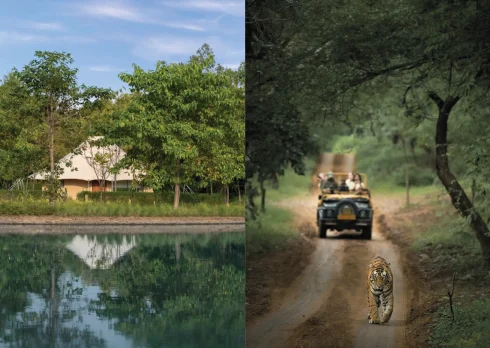 glamping india