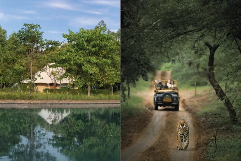 glamping india