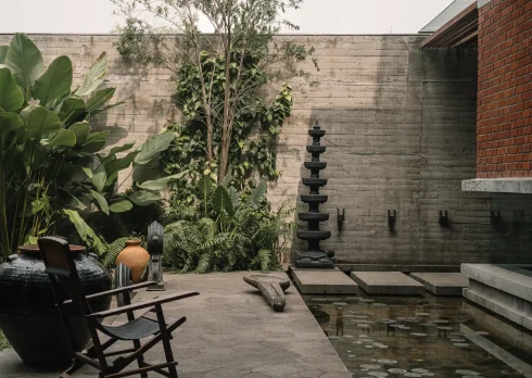 Lily And Koi Ponds