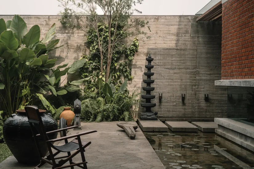 Lily And Koi Ponds