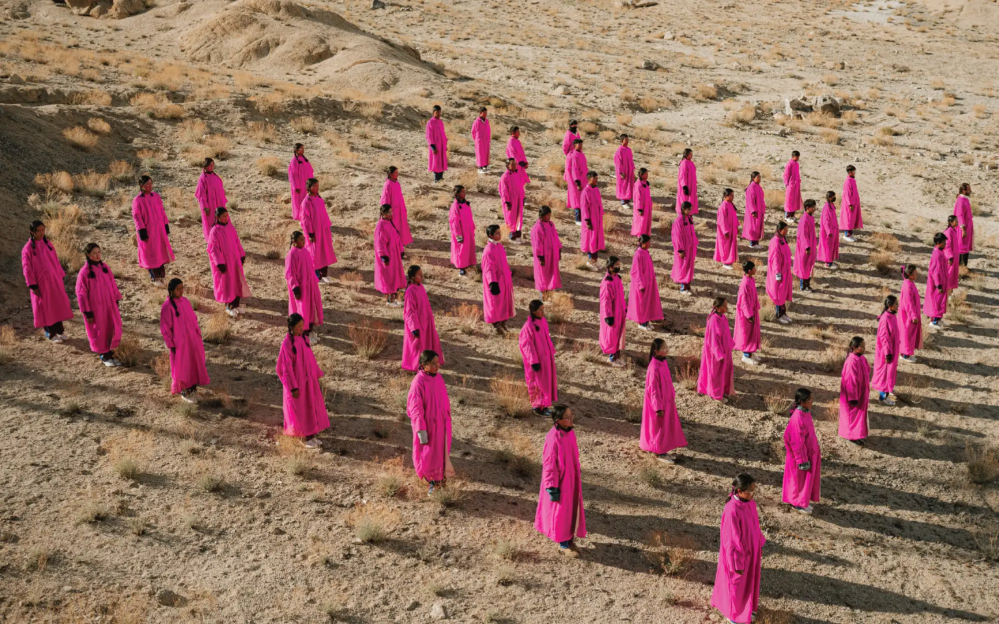 ladakh biennale 2026